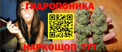 эйфоретик Пугачёв