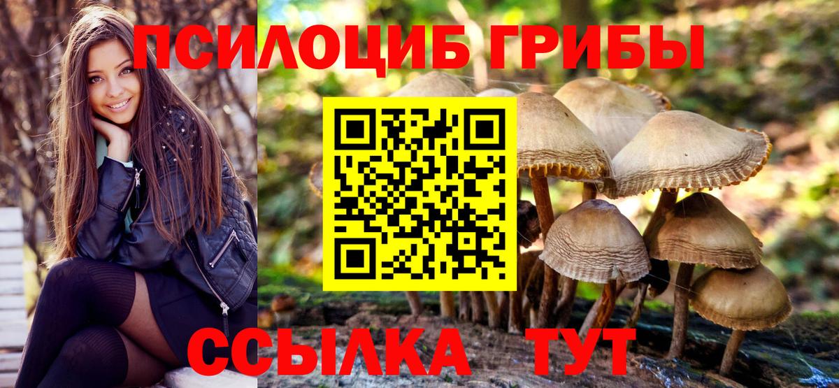 Астрахань  Псилоцибиновые грибы Cubensis  Вход с VPN 